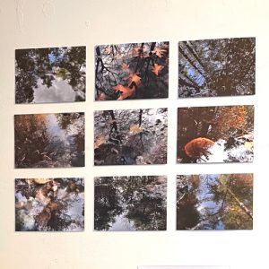 negen ansichtkaarten in een vierkant op de muur, van negen waterplassen